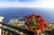 Flower pot on the viewpoint to the Amalfi coast, Italy