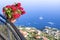 Flower pot on the viewpoint to the Amalfi coast, Italy