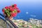 Flower pot on the viewpoint to the Amalfi coast, Italy