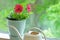 Flower pot on window sill