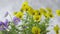 Flower Pots with Blue and Yellow Pansies on a White Background