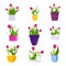 Flower pots with daisies, tulips and grass