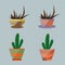 Flower pots with different flower sets