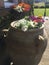 Flower pots filled with red and orange blooms