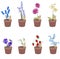 Flower pots with flowers - muscari,primrose and viola.