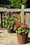 Flower pots on house deck