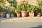 Flower pots near the house. Bodrum street view in Turkey.