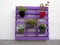 Flower pots on painted wooden pallet