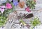 flower pots and a shovel full of soil on a gardening table