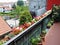 flower pots in spring on the railing of the house in the city