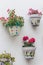 Flower pots in the wall