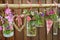 Flower pots on wooden fence