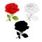 Flower red rose natural and outline and silhouette on a white background twig with leaves vintage vector illustration editable