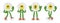 Flower retro funky cartoon characters. Comic mascot of daisy with happy smile face, hands and feet.