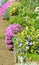 The flower rockery in a garden