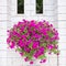 Flower on roman flower pot decorative at brick wall