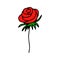 The flower s hand draws a line.Red rose.Doodle style.Floral and herbal.For bouquets, decorations.Vector