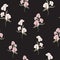 Flower seamless pattern with beautiful white and pink alstroemeria lily flowers