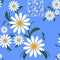 Flower seamless Pattern with Camomiles on blue.