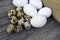 Flower-shaped chicken eggs and quail eggs.White chicken eggs and quail eggs stand side by side on a wooden floor