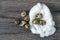 Flower-shaped chicken eggs and quail eggs...White chicken eggs and quail eggs stand side by side on a wooden floor,