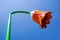 Flower shaped light pole. street light pole