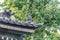 Flower-shaped Tomebuta-Gawara (Cover tile) roof detail of Genkan-mon gate at Higashi Hongan-ji. Kyoto, Japan.