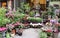 Flower shop. Pots of flowers displayed on the street of Vienna, Austria