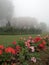 Flower shrubs in a garden at Bhu Bhing Palace