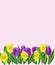 Flower, spring, tulip, nature, purple, flowers, garden, crocus, pink, green, tulips, blossom, bloom, floral, white, beauty, plant,