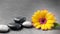 Flower and stone zen spa on grey background