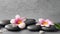 Flower and stone zen spa on grey background