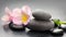 Flower and stone zen spa on grey background