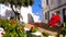 flower and street Fornells, Menorca, Balearic islands, spain