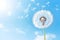 Flower summer nature spring softness seeds sky flying dandelion blowball plant macro