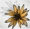 Flower sunflower, hand-drawing. Vector.