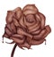 Flower - sweet chocolate love symbol rose