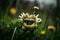 Flower with teeth hunting at the meadow, created with Generative AI technology