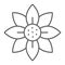 Flower thin line icon, blossom and flora, floral sign, vector graphics, a linear pattern on a white background.