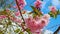 Flower tree. Beautiful sakura flower on a tree branch. Natural pink flower