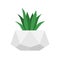 Flower in trendy geometric concrete pot. Vector isolated succulent plant. Home gardening