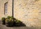 Flower tubs in the sun