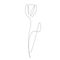 Flower tulip silhouette line drawing vector