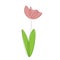 Flower tulip silhouette vector illustration