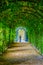 flower tunnel situated on grounds of schonbrunn castle in vienna, austria...IMAGE