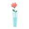 Flower in vase. Glass vases with blue water. Cute colorful icon collection. Pink flowers. Ceramic Pottery Glass decoration. White