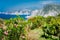 Flower and vine plantation near Agia Eleni and Pitani beach in Kefalonia Island, Greece. Rocky coastline landscape in