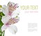 Flower of white alstroemeria, ready template