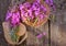 Flower Willowherb - Epilobium Angustifolium on wooden background. Top view