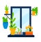 Flower window, floral emblem, plant garden, fresh france lavender, isolated on white, design, cartoon style vector